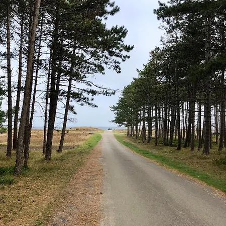 Nice And Relaxing Close To Beach